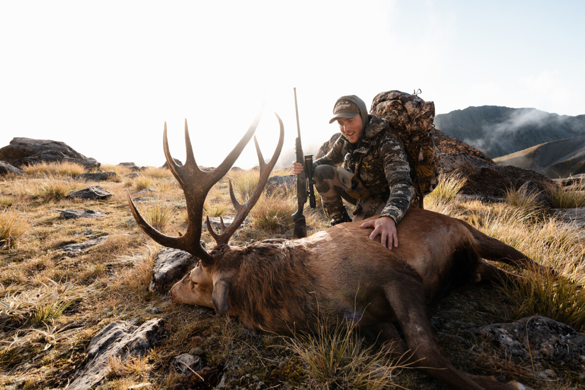 The Hunt for the Giant Deer Solo in the Wild
