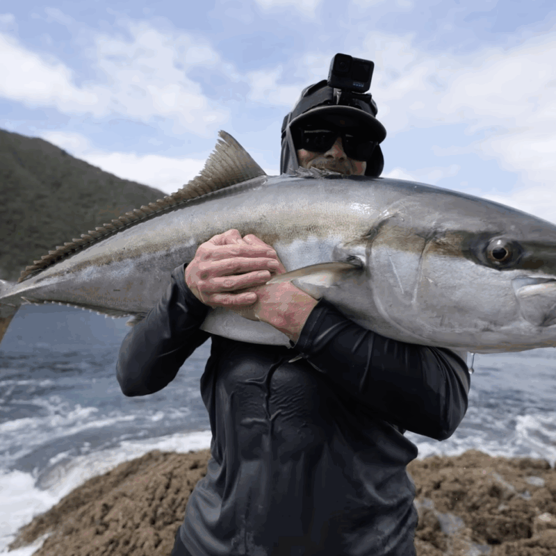 Catching Giant Fish in Feeding Frenzy! (Hectic Footage)