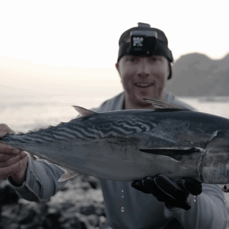 Fishing the Worlds Best Remote Islands! (Hectic Action)