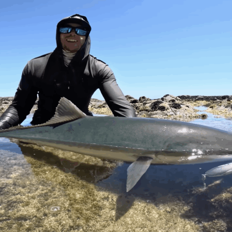Huge Fish gets Airborne Eating Lures! (Big Fish Camping Trip)