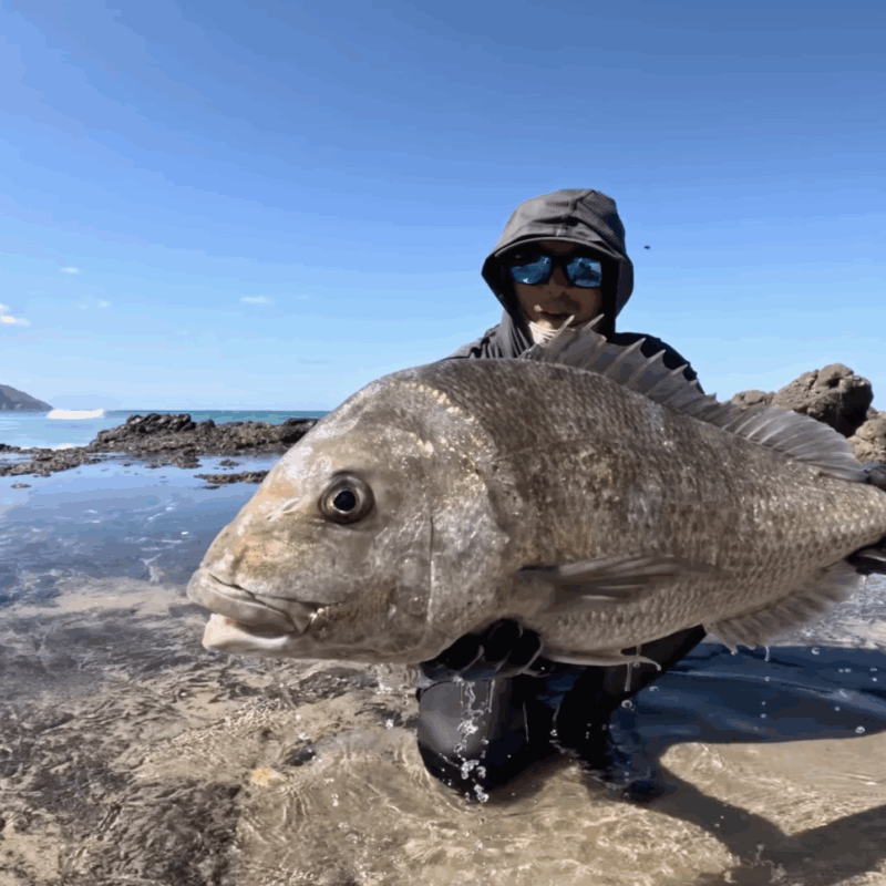 Sight Casting Giant Fish in Shallow Water! (Insane)
