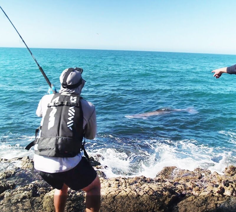 I Dropped my Lure right on top of it!
